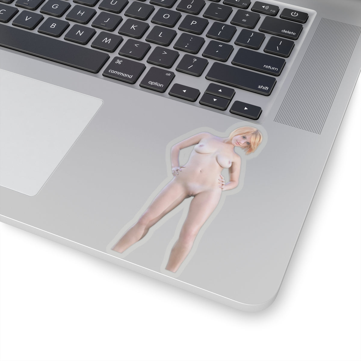 Pinup Model Sticker Sexy Girl Uncensored Stickers