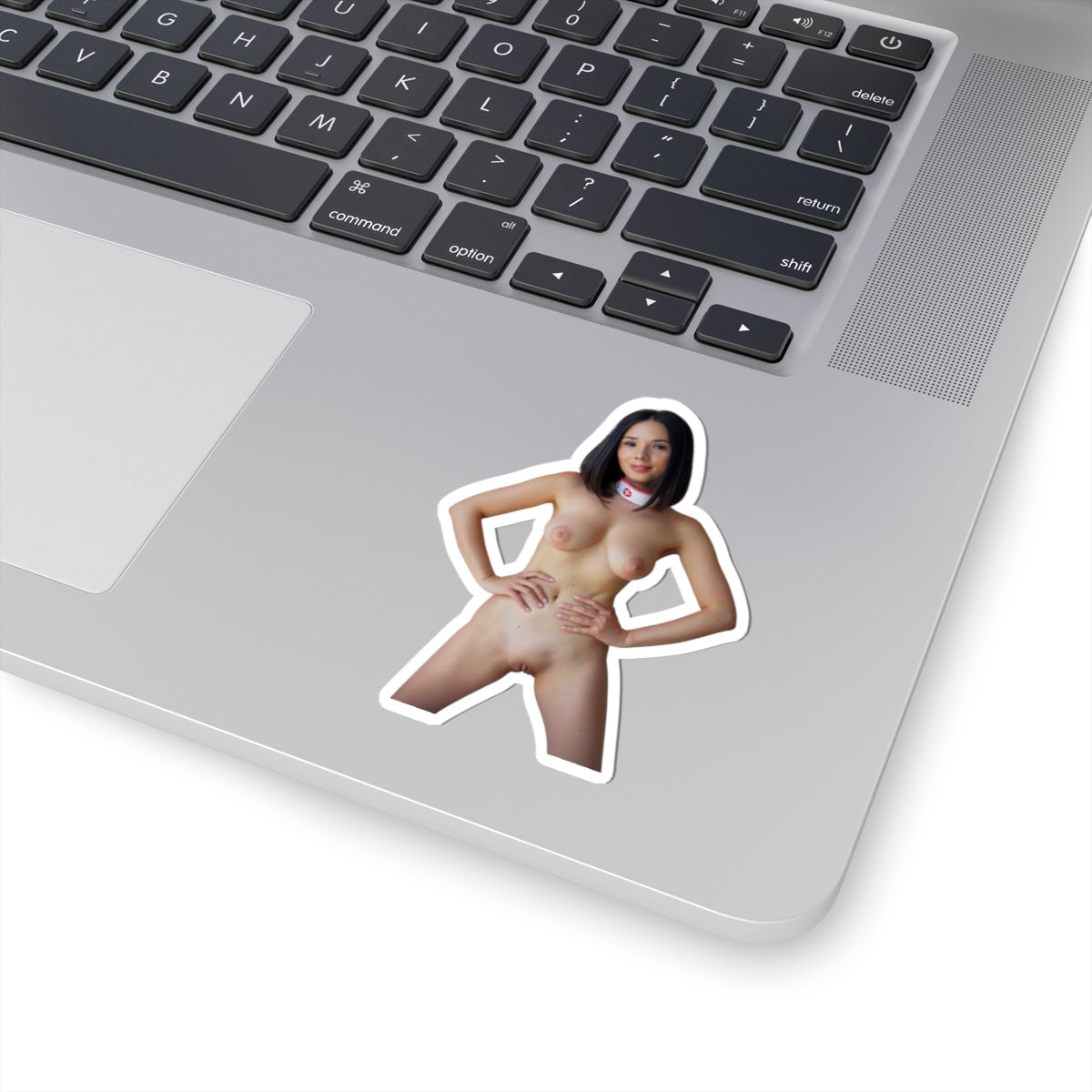 Pinup Stickers Sexy Naked Pretty Girls Sticker