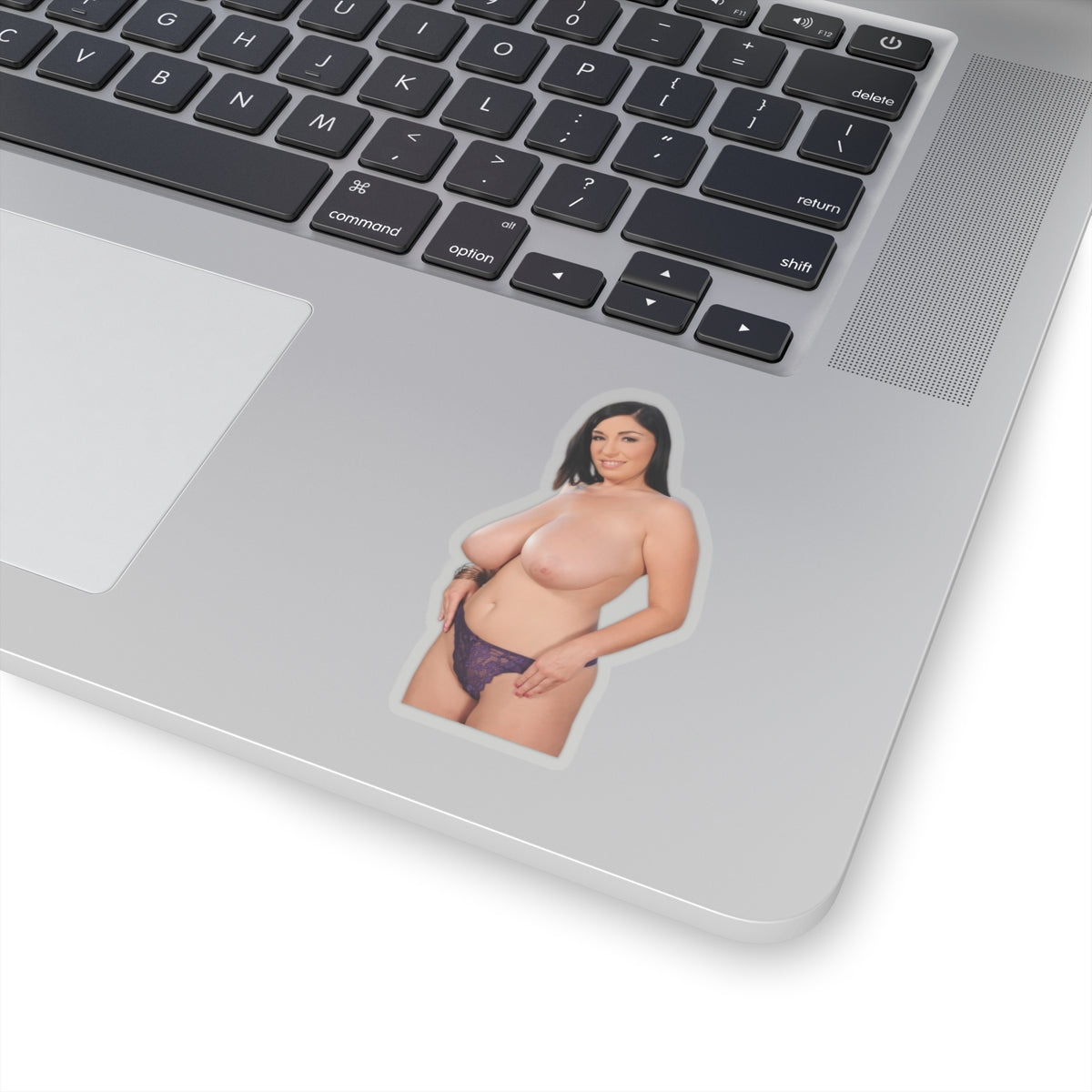 Curvy Pinup Model Sticker Vinyl Decal Sexy Woman Artwork