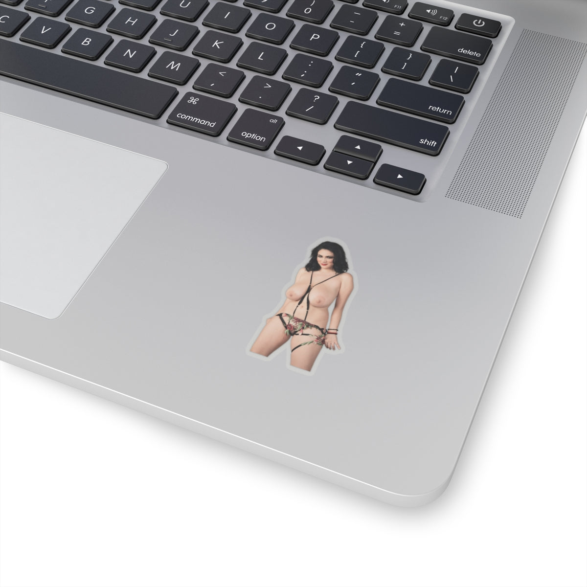 Adult Stickers Big Tits Sexy Girl Sticker