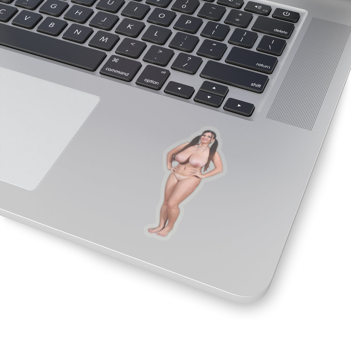 Pinup Stickers,Naked Model,naked women sticker,adult stickers,naked girl stickers,naked girl sticker,nude women,E443