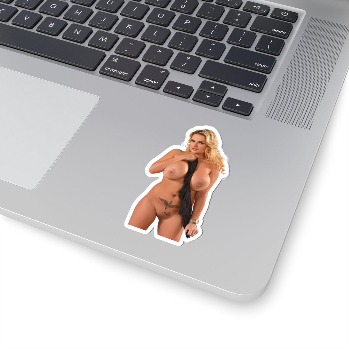 Huge Breast Girl Stickers