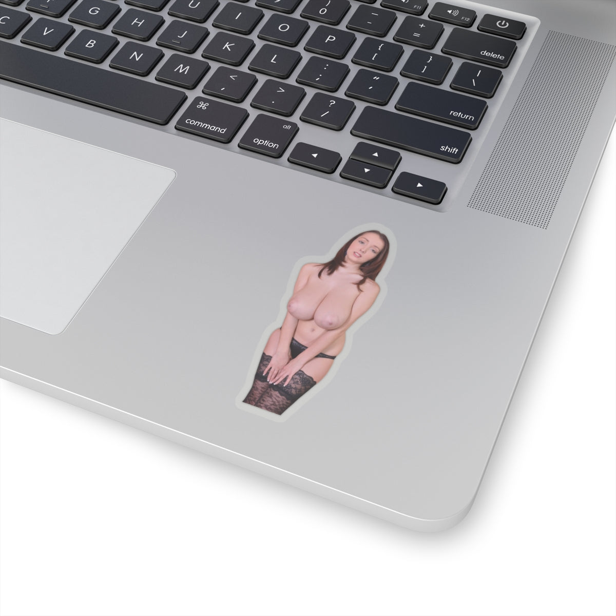 Busty Buffy Big Tits Model Sticker Pinup Uncensored Stickers