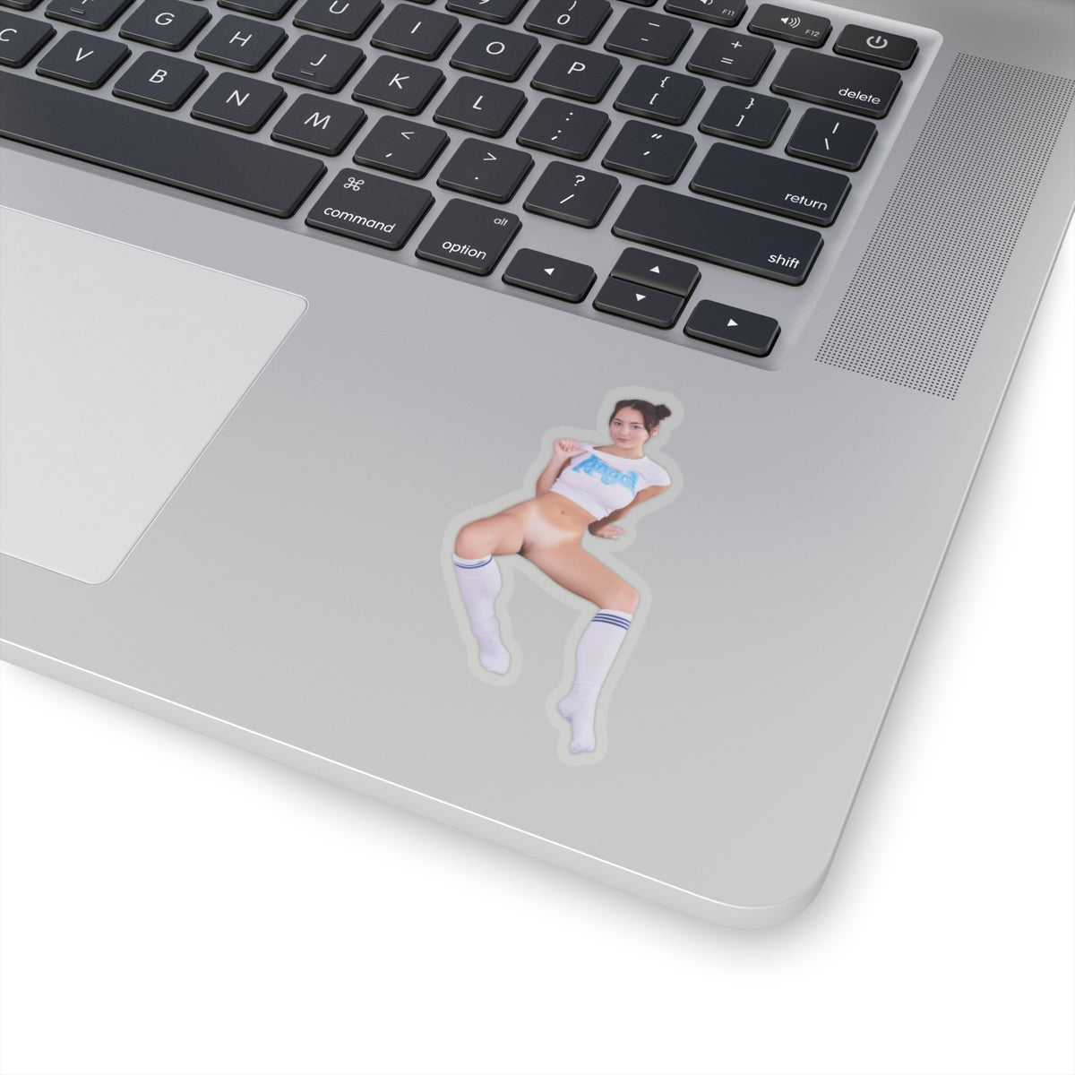 Pretty Sexy Girl Sticker Pinup Model