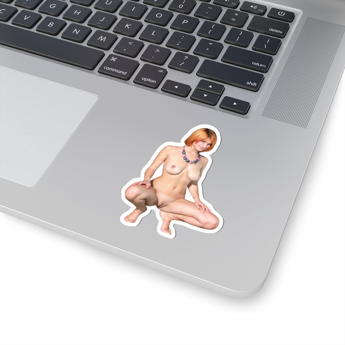 Pinup Model Sticker Sexy Women Uncensored Stickers