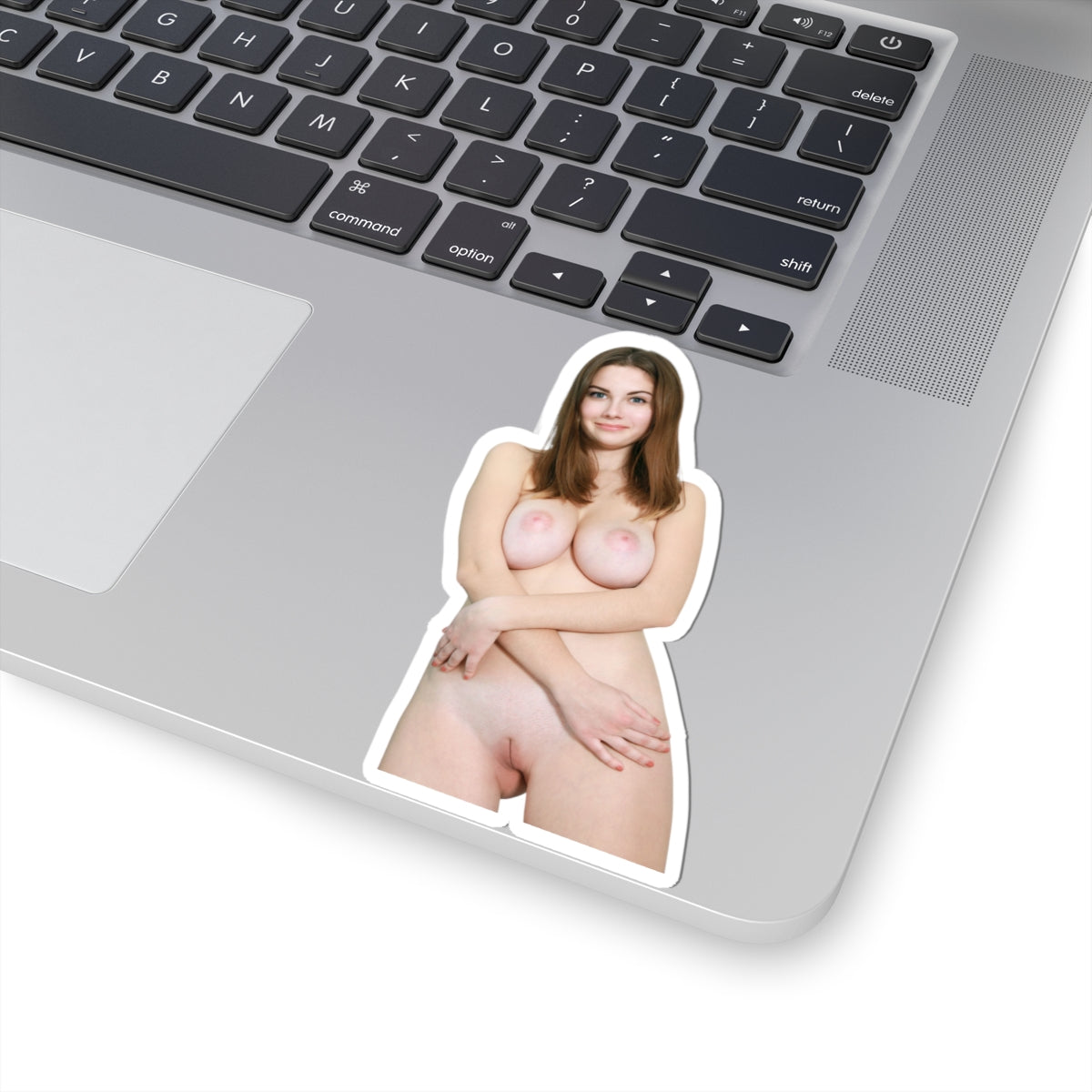 Hot Model Sticker Pinup Women Stickers