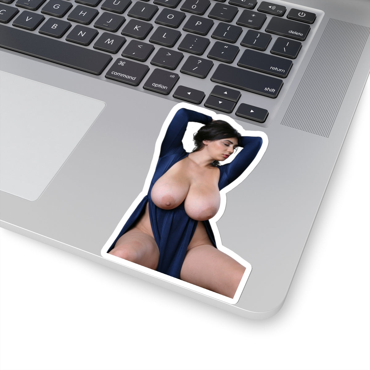 Pinup,pinup sticker,pinup stickers,pinup girl,pinup women,pinup model,sex girl,sexy girl sticker,sexy girls stickers,sexy girls,mens stickers,stickers for men,E825