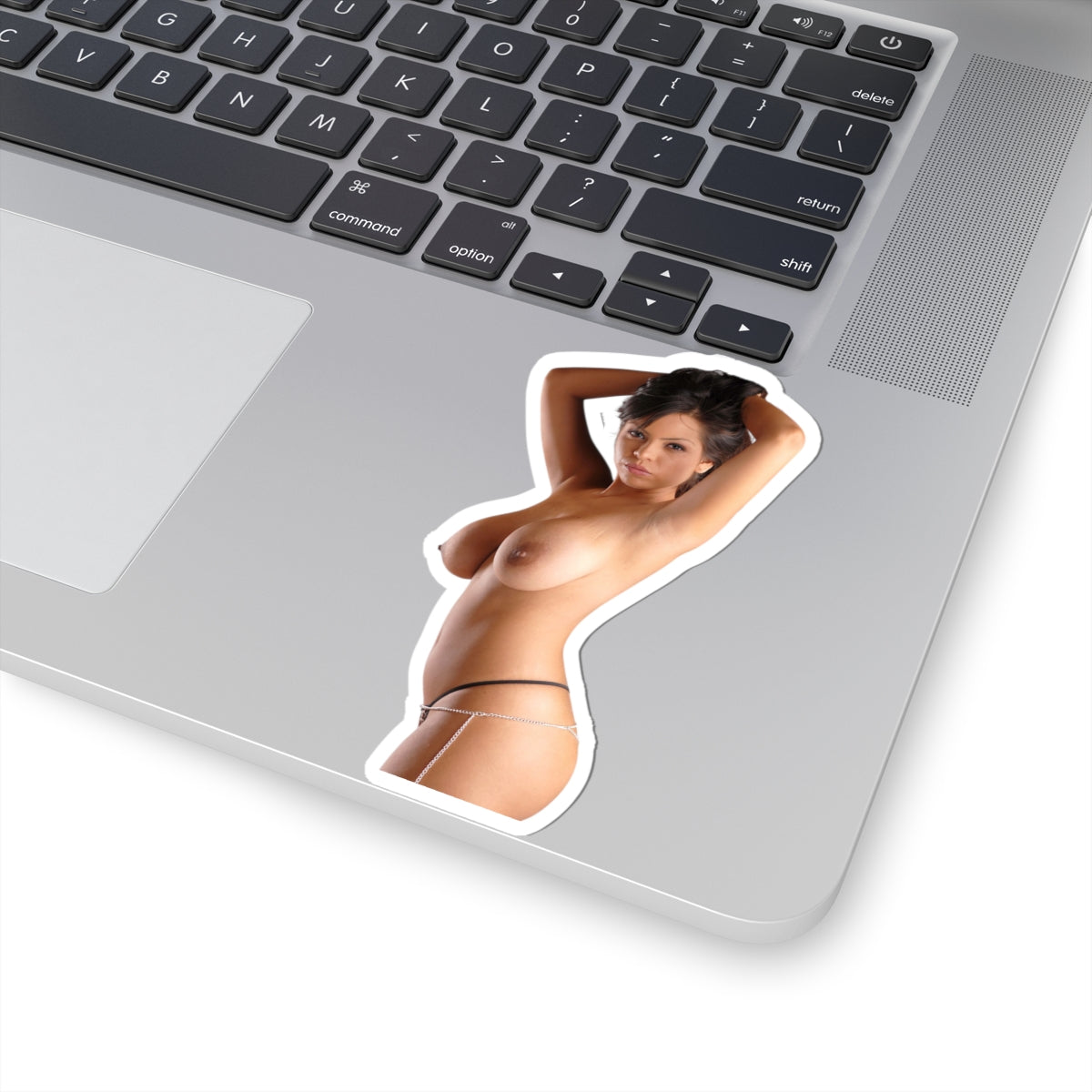 Erotic Sticker Sexy Big Tits Girl Decals