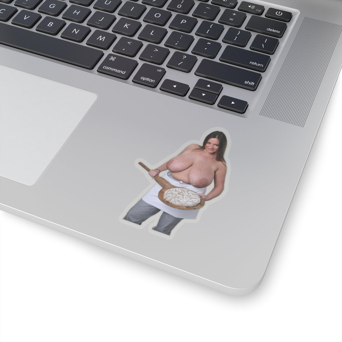 Nadine Jansen Big Boobs Model Sticker Sexy Pinup Stickers