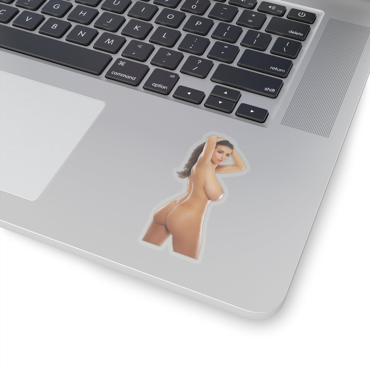 Nude Pinup Girl Beautiful Butt Women Sexy Naked Woman Adult Mature Sticker Vinyl Stickers E427