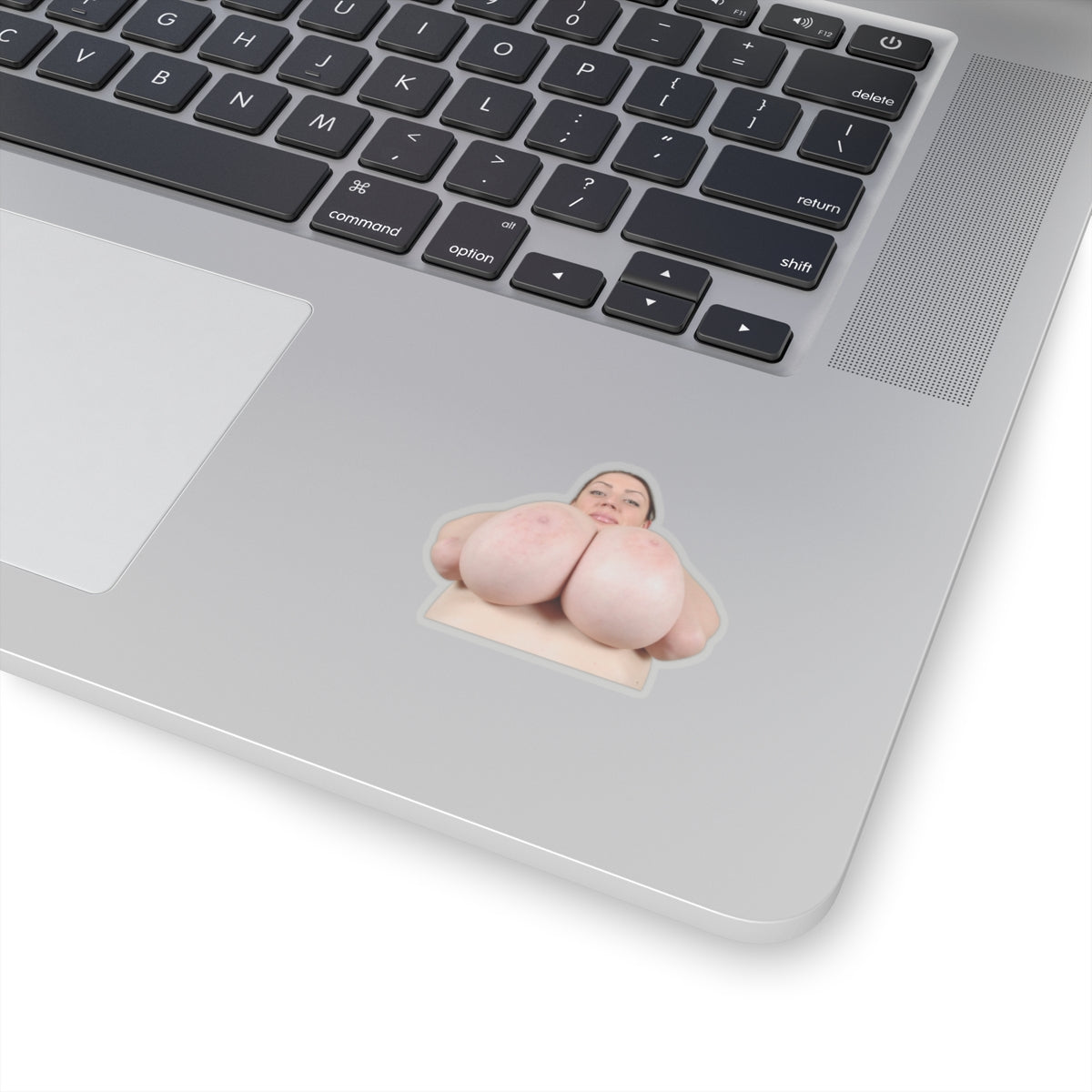 Huge Tits Girl Sticker Big Boobs Women Stickers