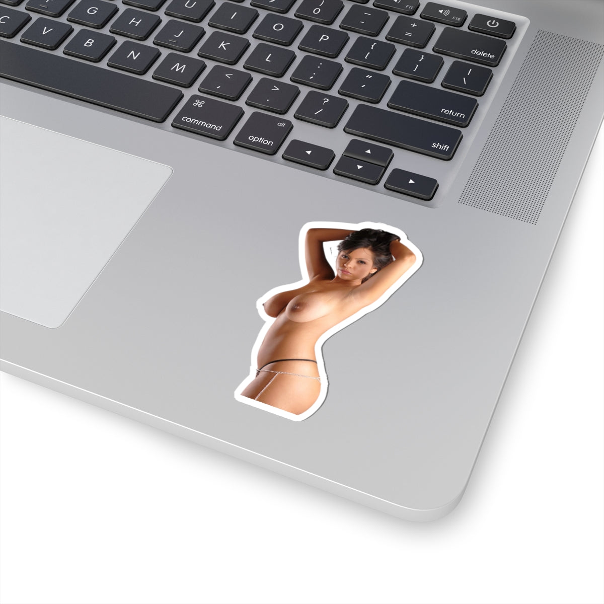 Erotic Sticker Sexy Big Tits Girl Decals