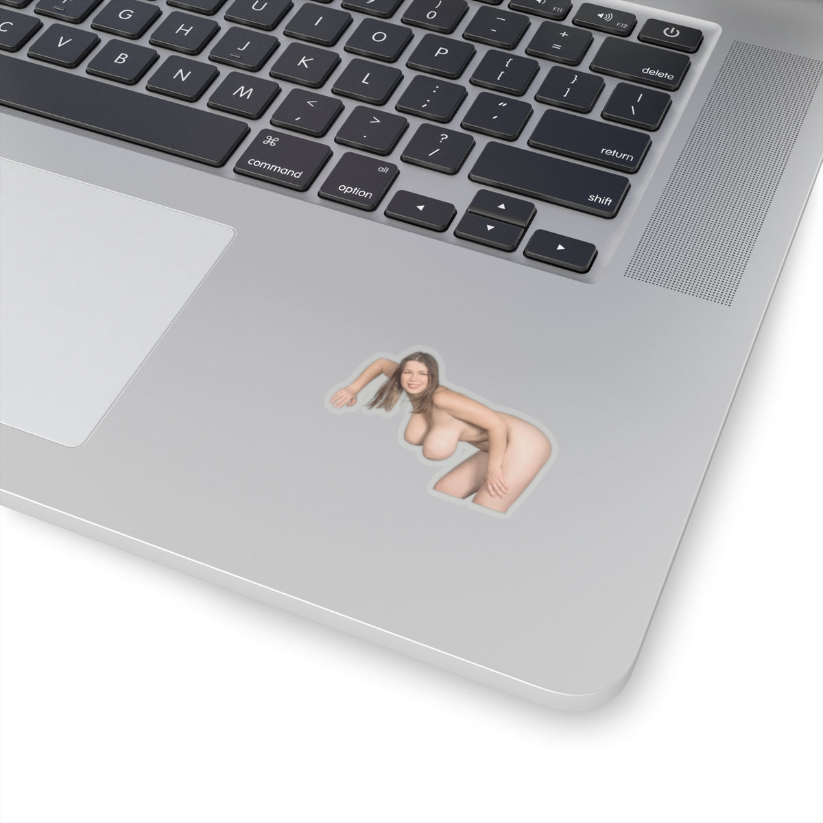 Terry Nova Sticker Naked Pretty Girl Stickers