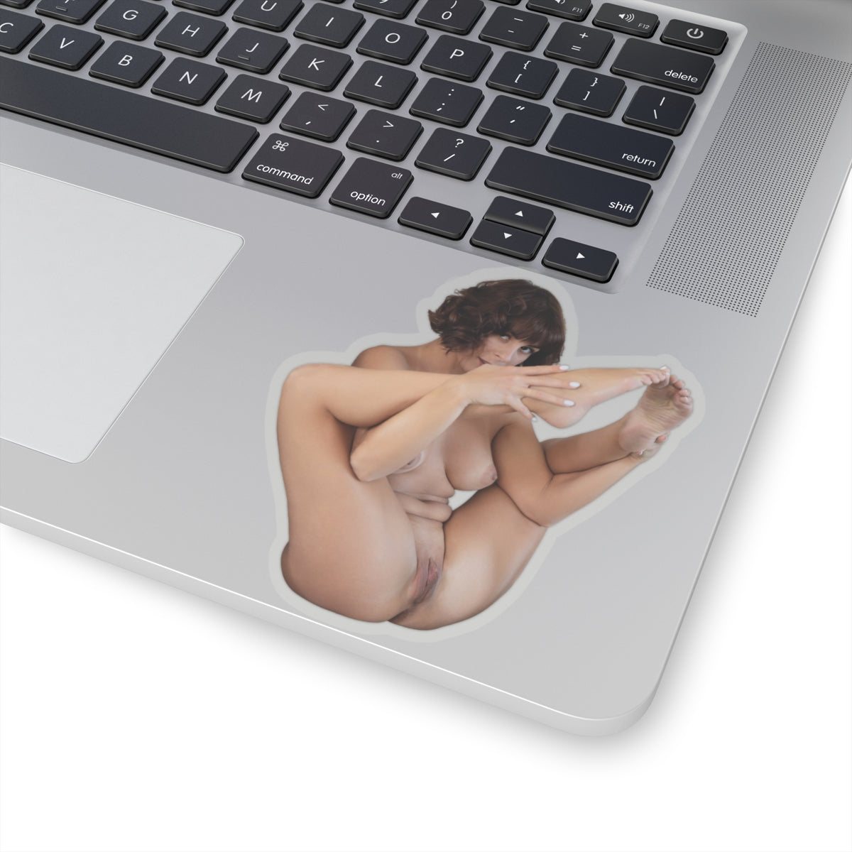 Hot Pinup Model Sticker Naked Girl Sticker