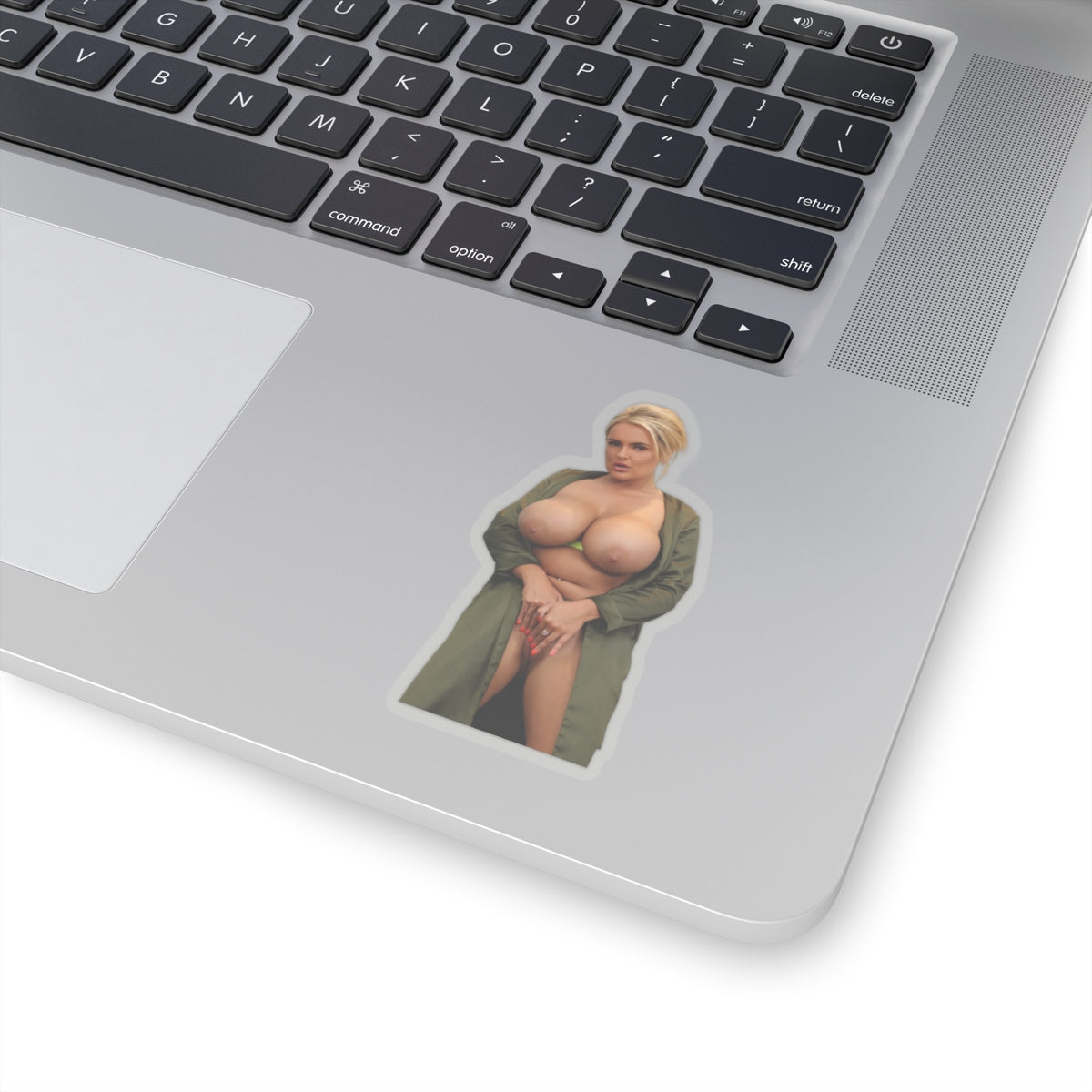 Sexy girl,sexy women,girl sticker,girl stickers,women sticker,pinup model,pinup,naked women,mature stickers,stickers for men,stickers for him,gifts for men,E975