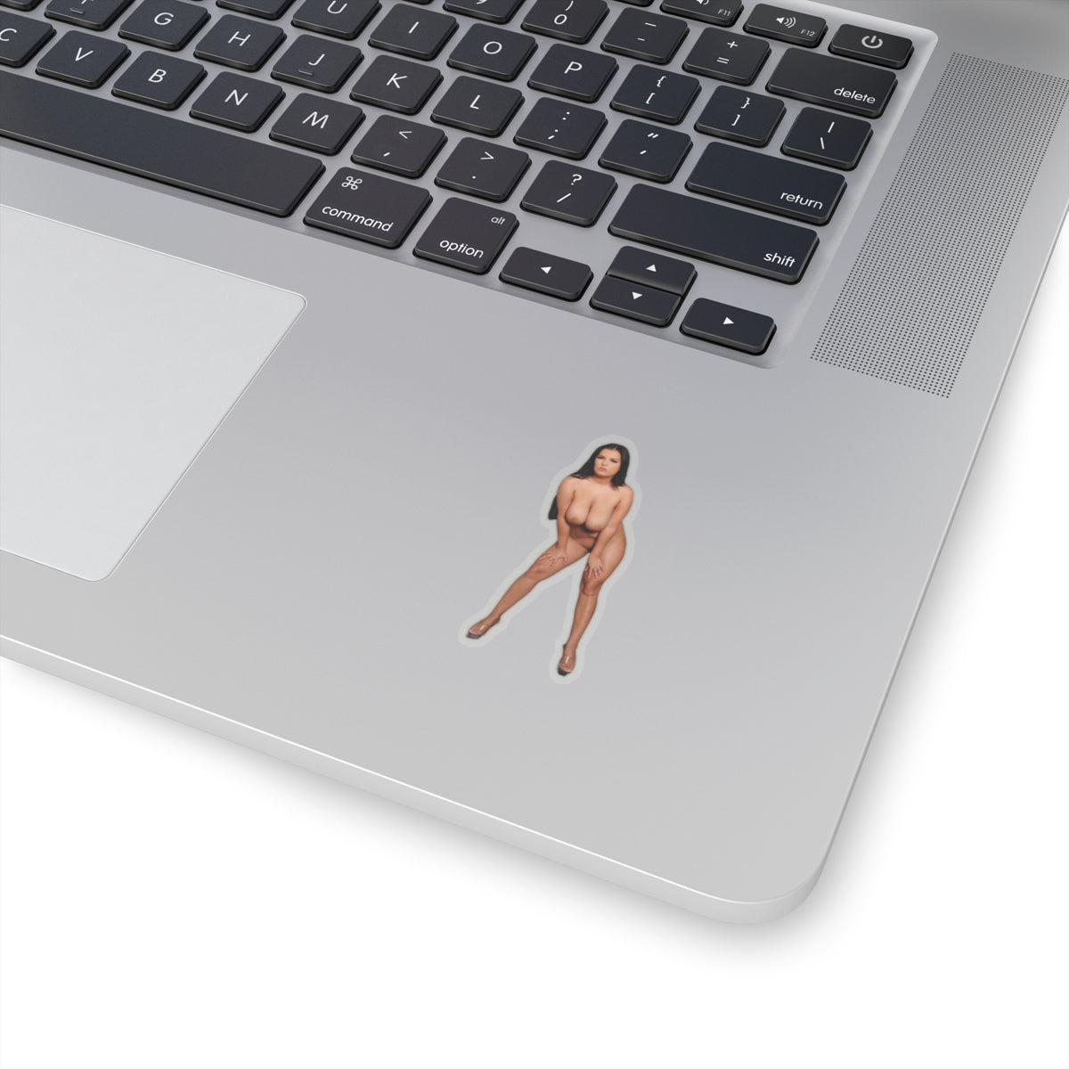 Busty Babe Stickers Sexy Women Stickers