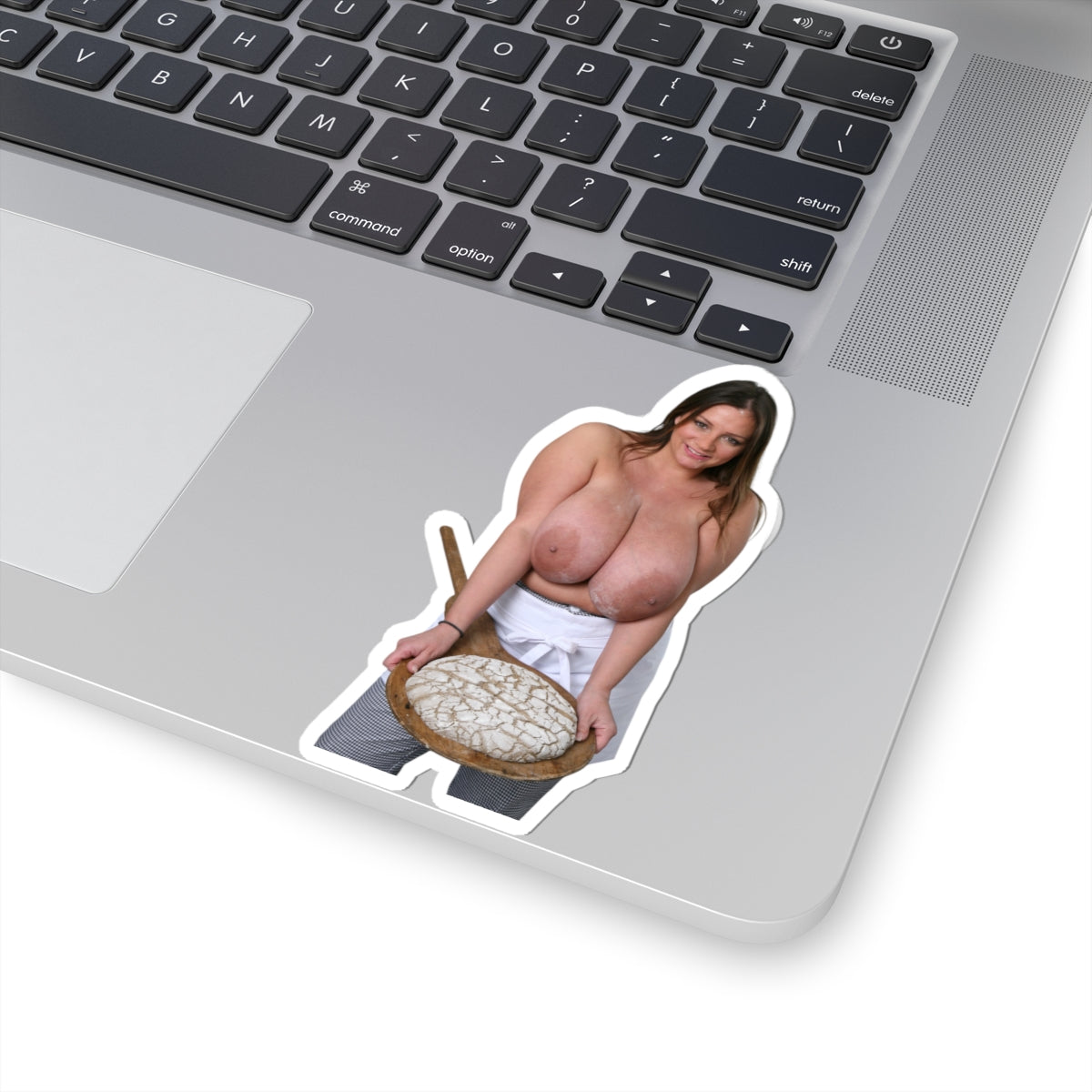 Nadine Jansen Big Tits Model Baker Sticker Sexy Girl Pinup Stickers