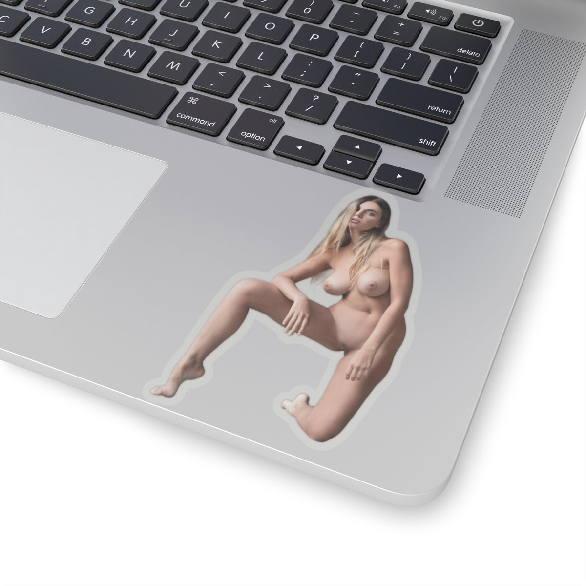 Hot Sexy Girls Sticker Only Stickers For Adults