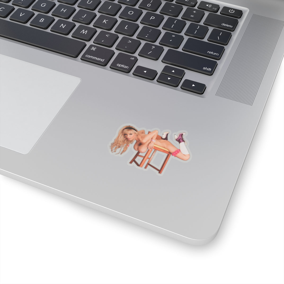 Big Tits Naked Women Sticker Pinup Stickers