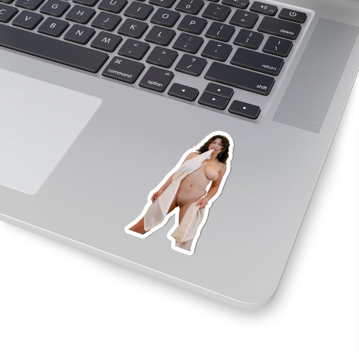 Nude Model Pinup Stickers