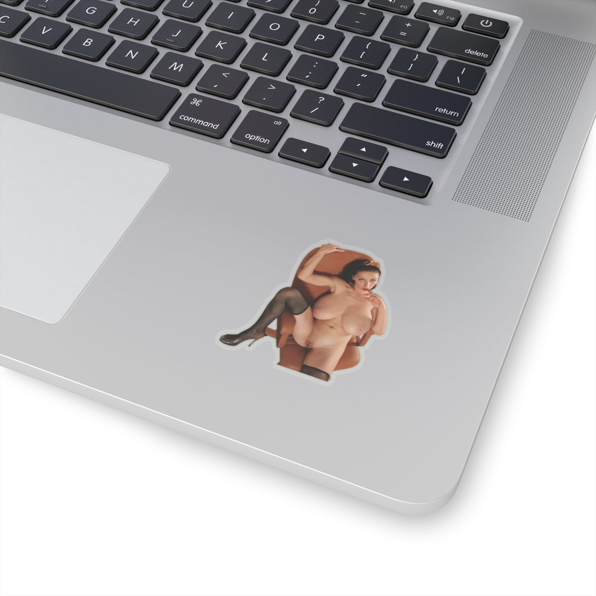 Naked Model Sticker Sexy Girl Big Tits Stickers