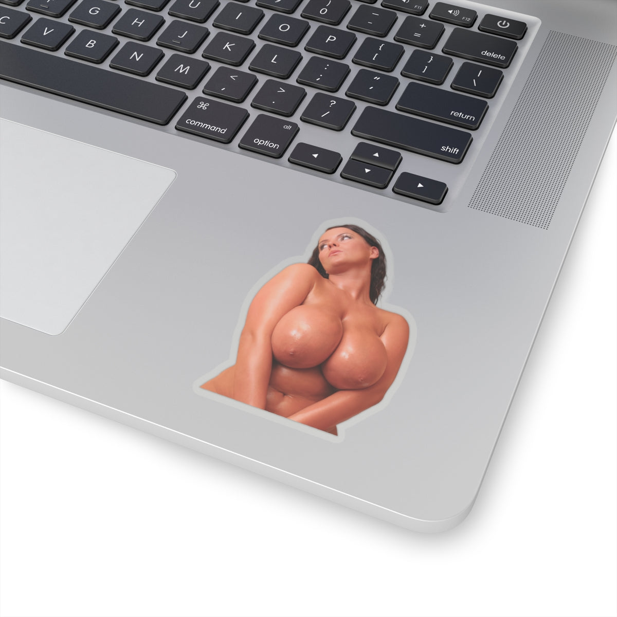 beautiful big boobs girl sticker sexy women uncensored stickers
