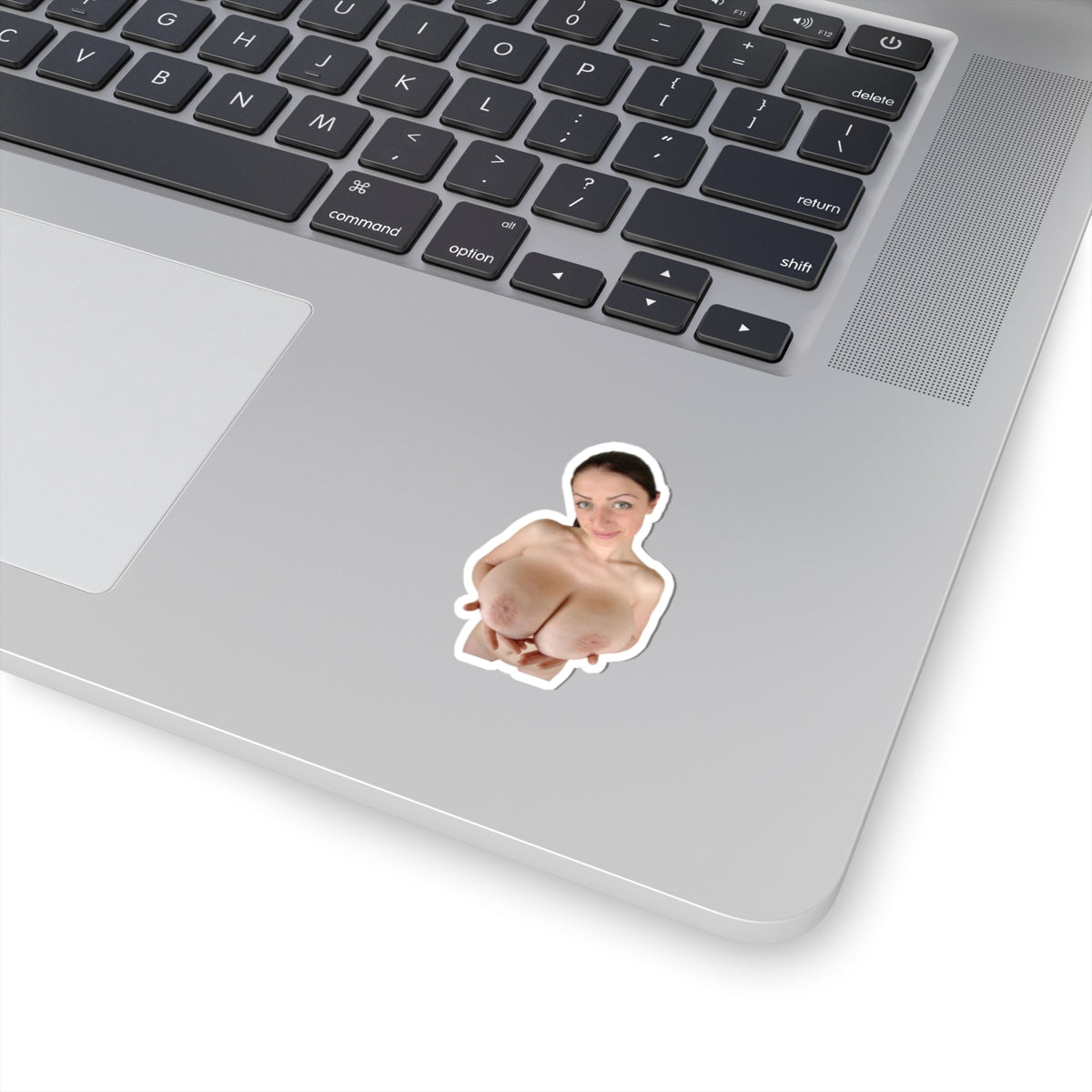 Big Boobs Girl Sticker