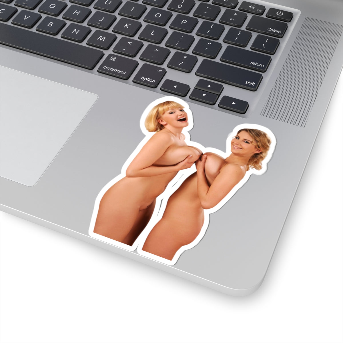 Sexy Pinup Girls Stickers Big Bust Women Vinyl Decals