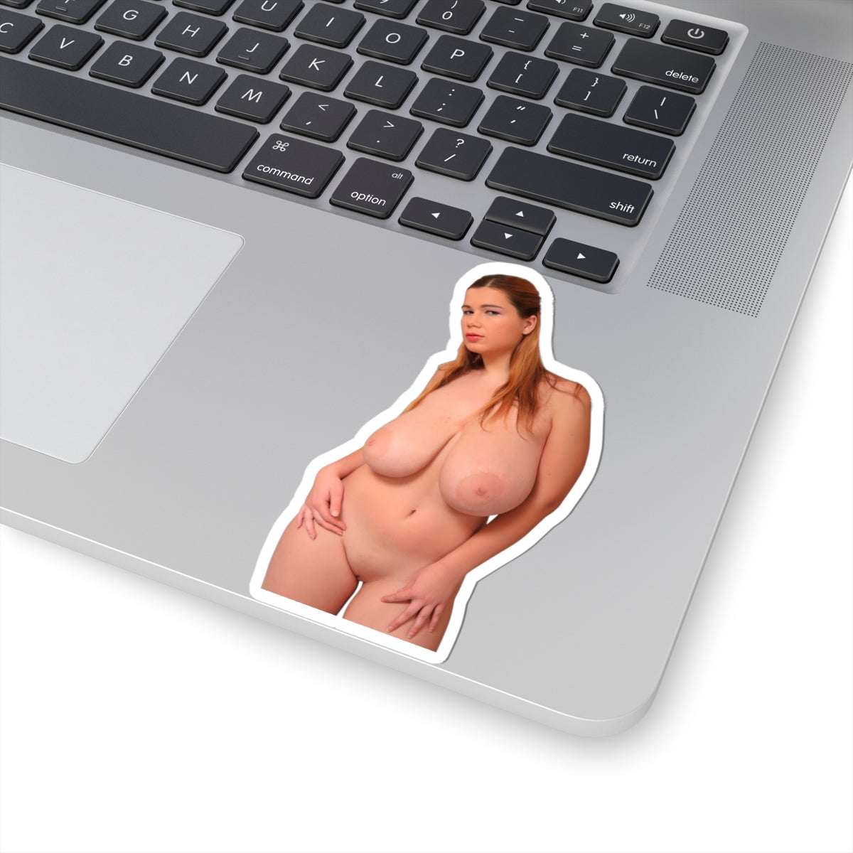 Naked Pussy XXX Sticker Nude Big Tits Stickers