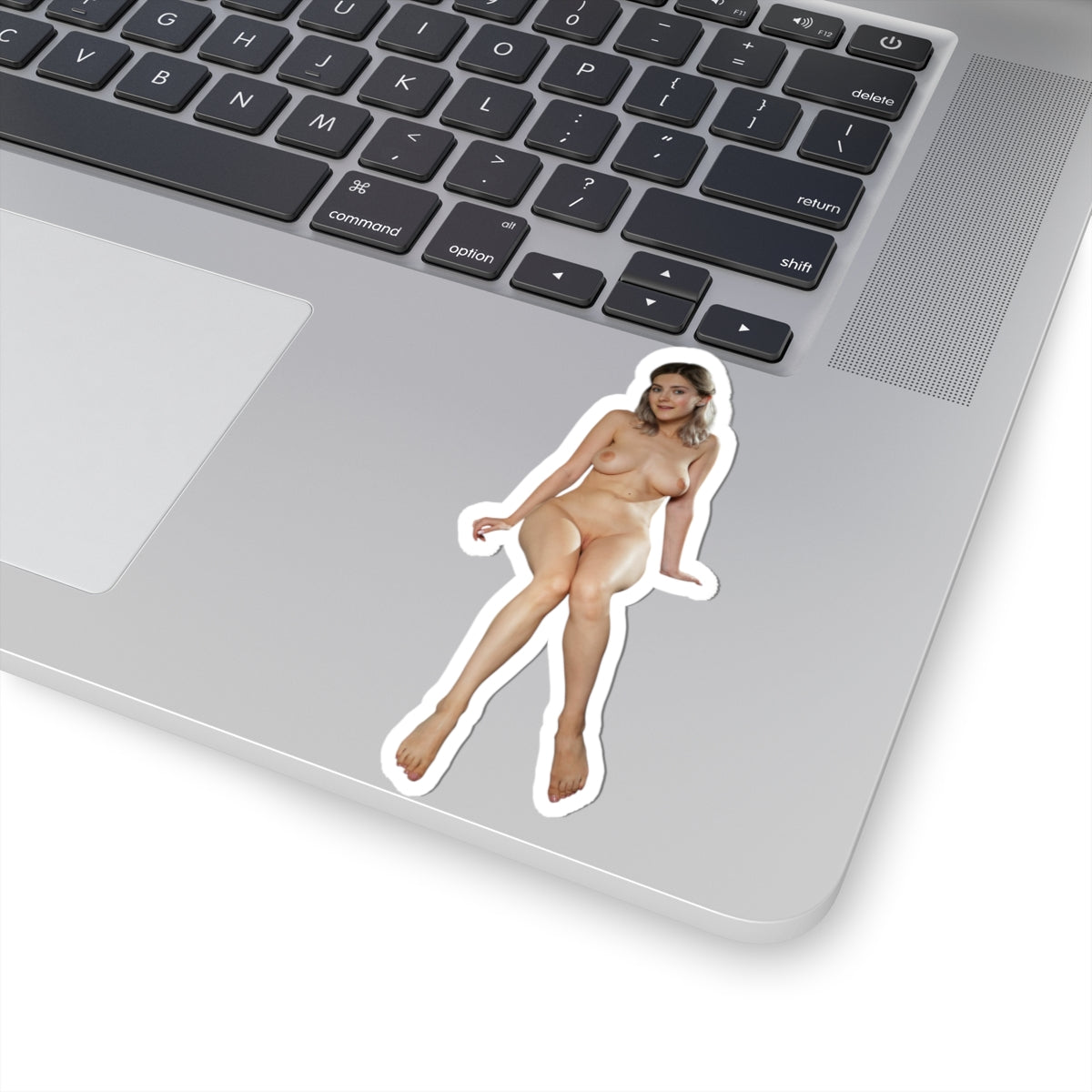 Pinup Stickers Sexy,Women Uncensored Stickers