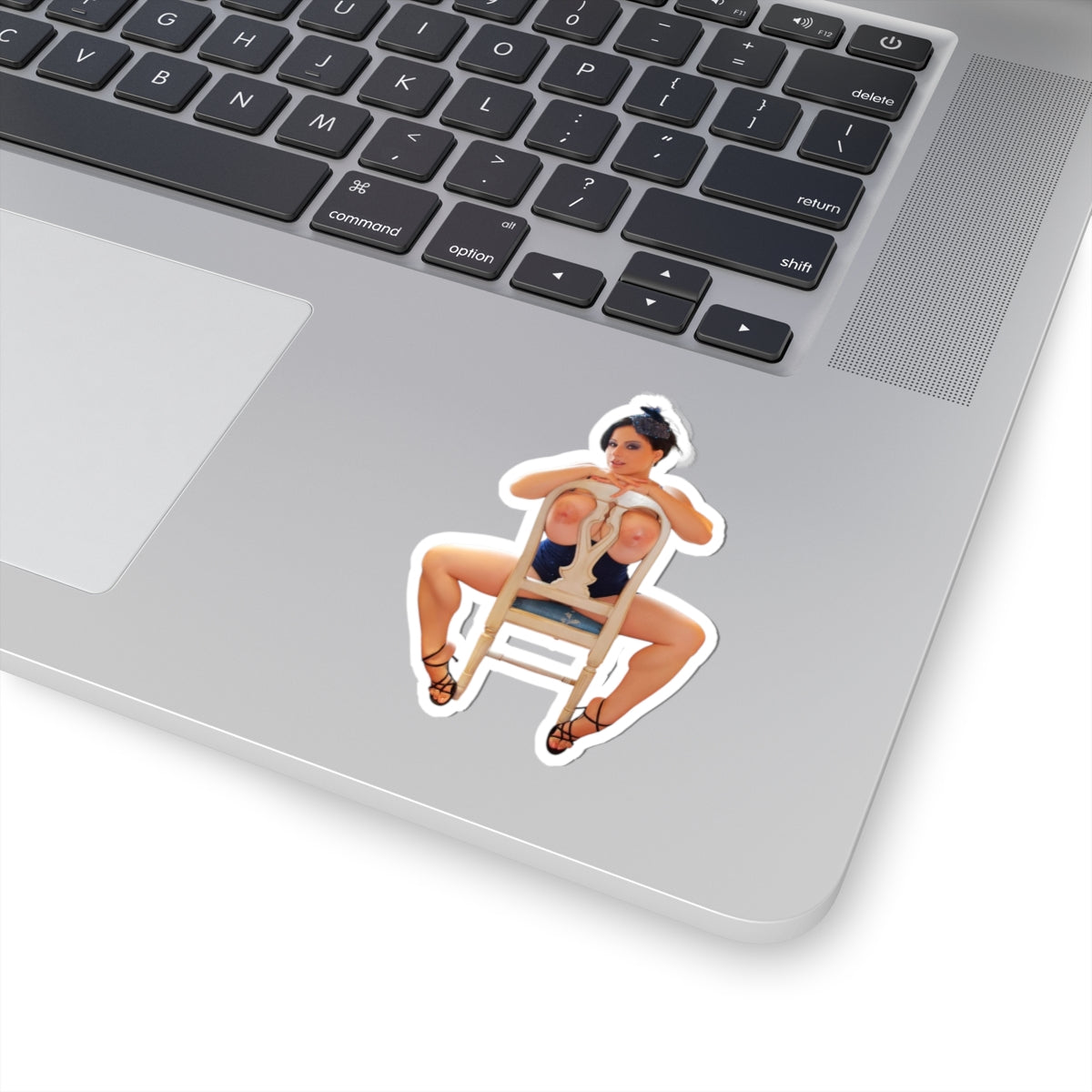 Big Boobs Sexy Naked Women Stickers
