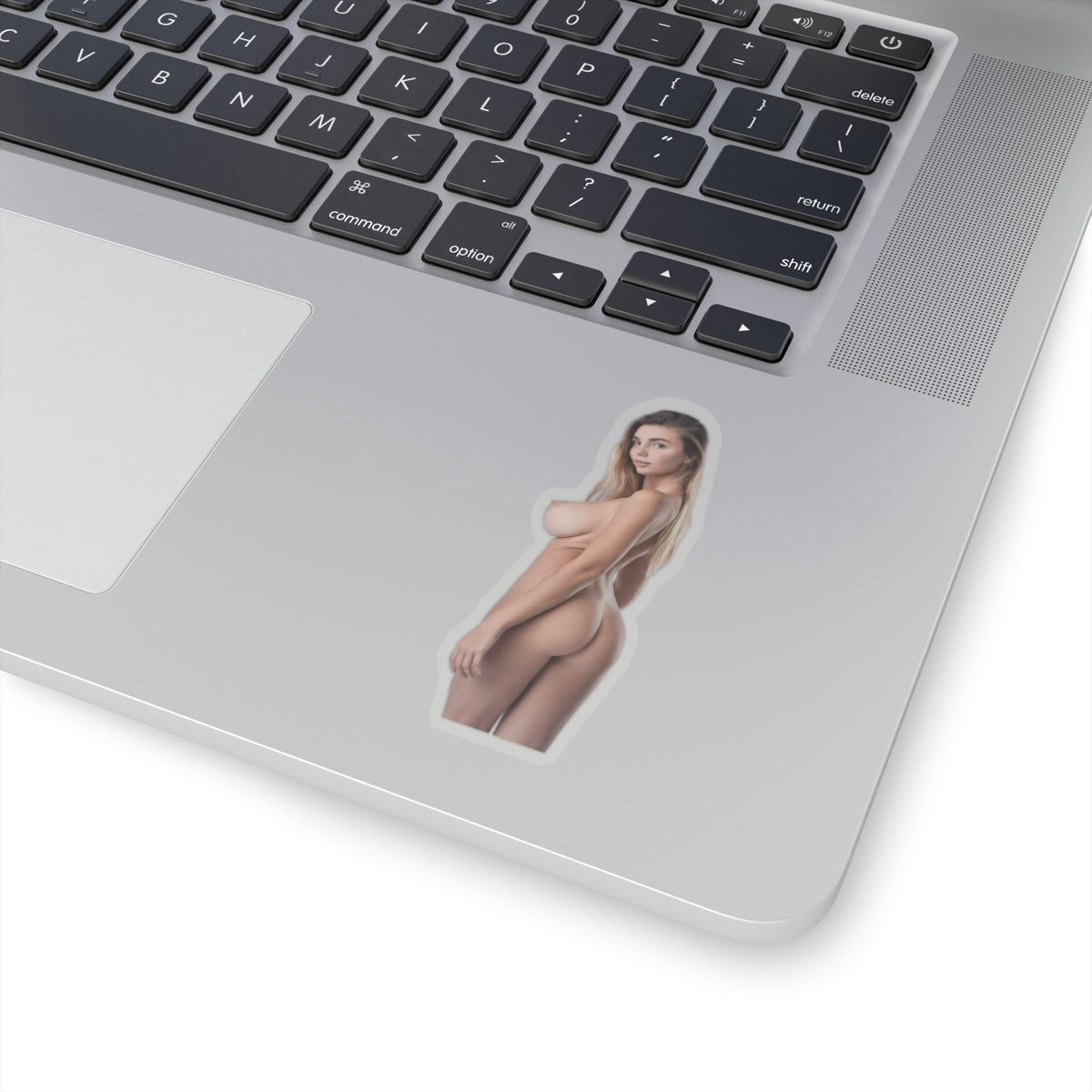 Beautiful Model Sticker Naked Women Sexy Girl stickers