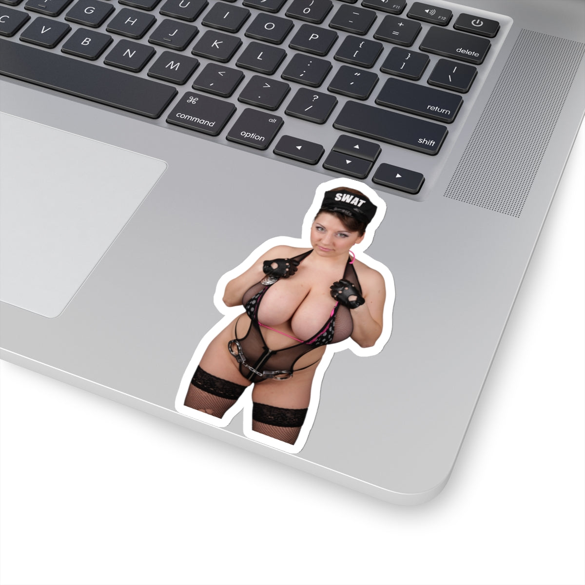 Swat Sticker Big Tits Girl Beautiful Model Pinup Stickers Funny Stickers Meme Sticker E756