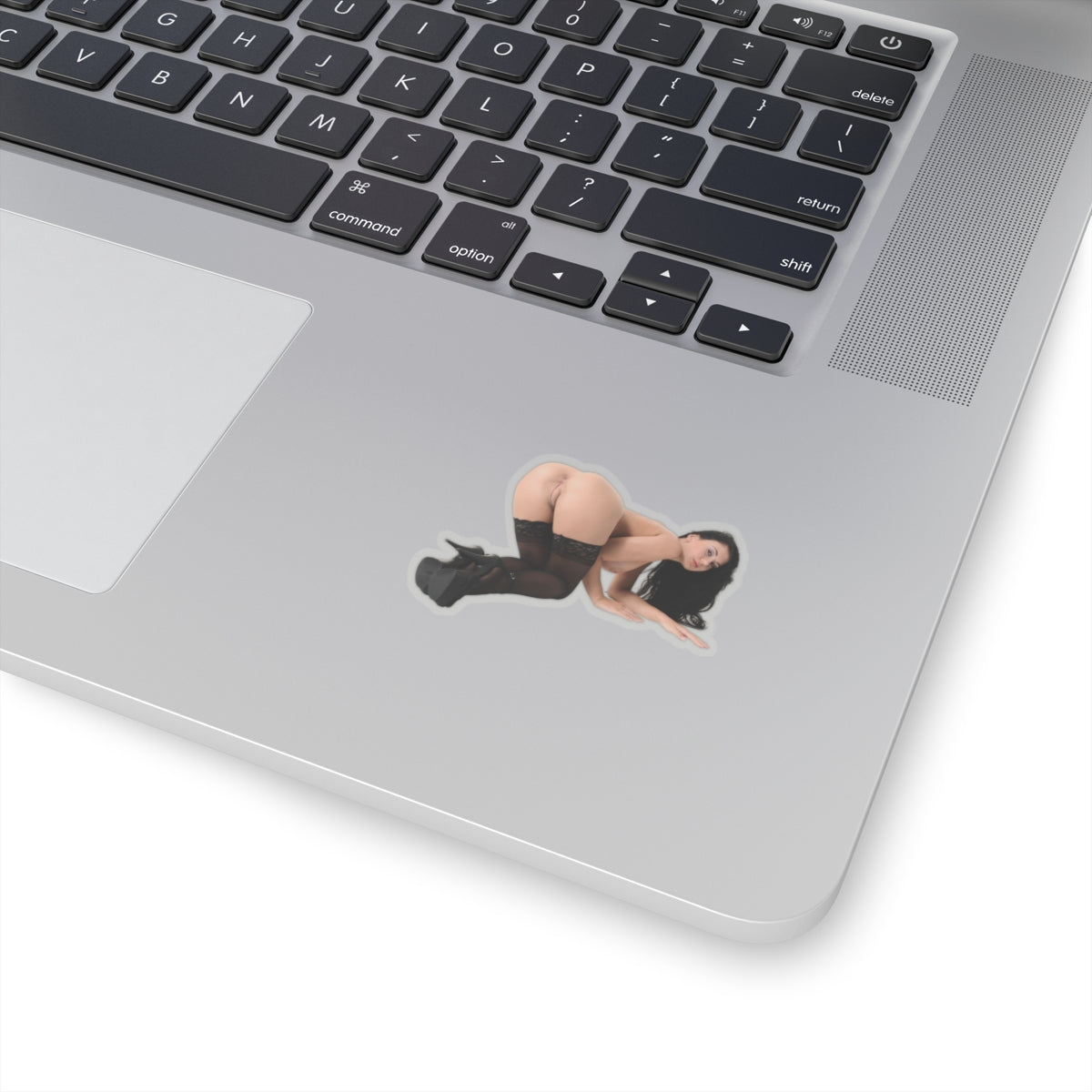 sexy brunette sticker big tits women botty stickers