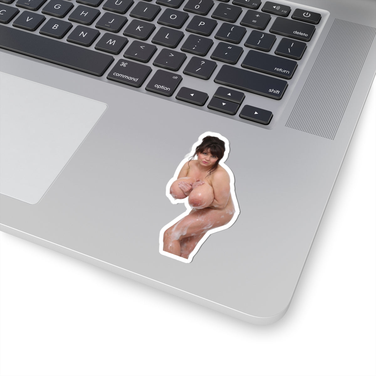Milena Velba Nude Naked Sticker Big Boobs Tits Breast Girl Pinup Stickers