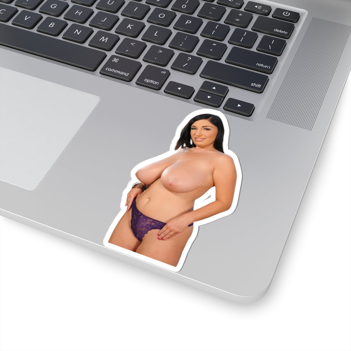 Curvy Pinup Model Sticker Vinyl Decal Sexy Woman Artwork