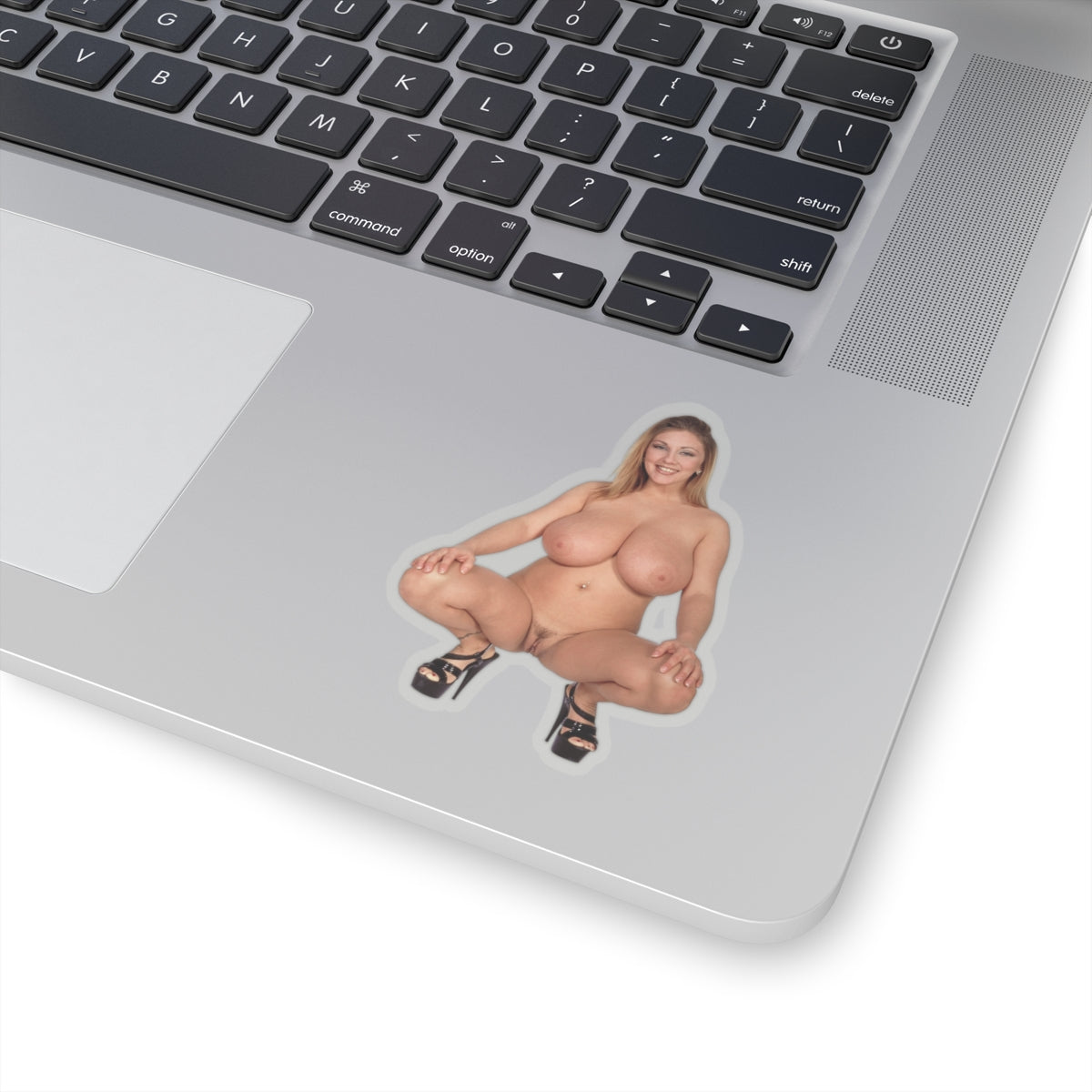 Erotic Sticker Big Boobs Pinup Girl Sticker