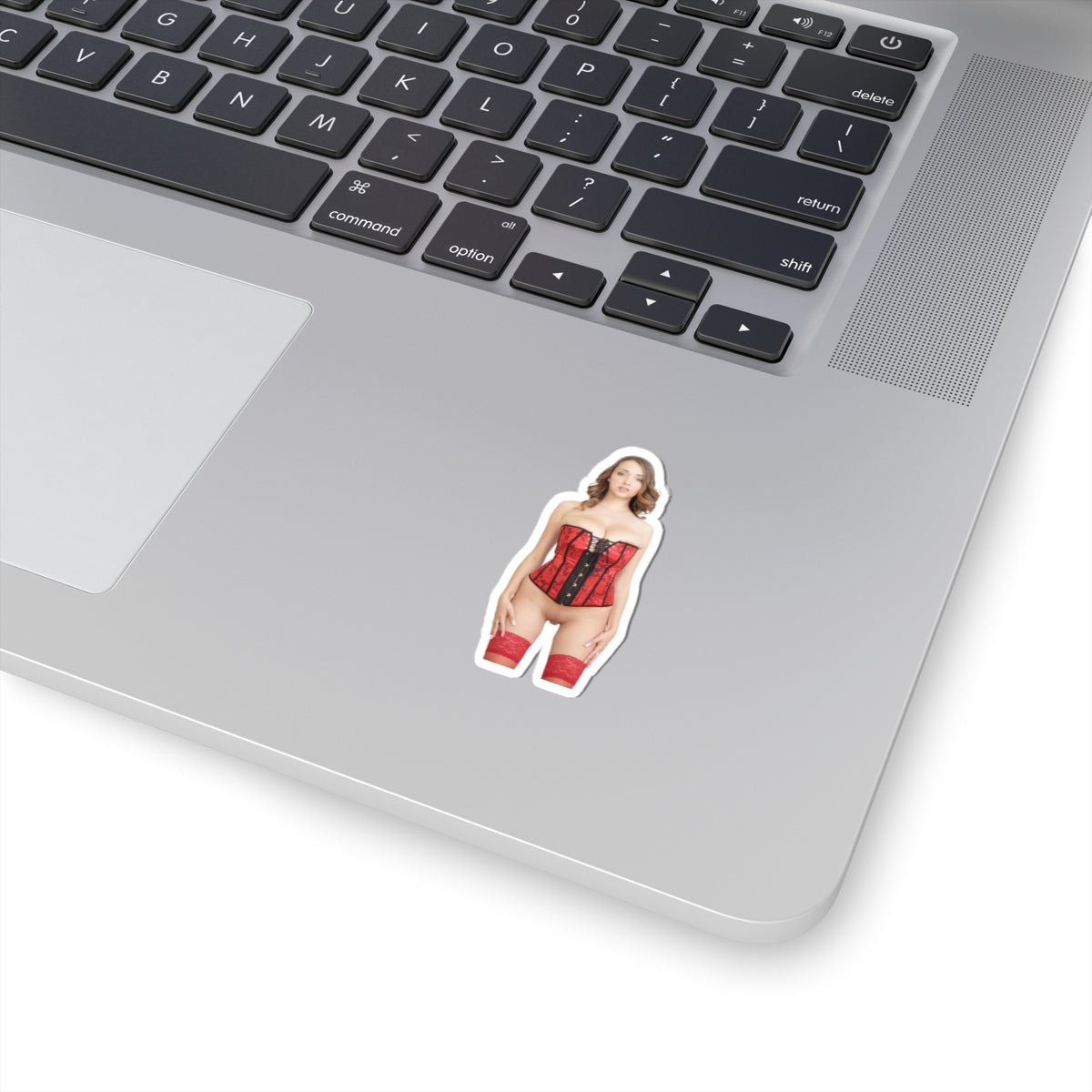 Naked Women Sticker Sexy Mature Adult Stickers