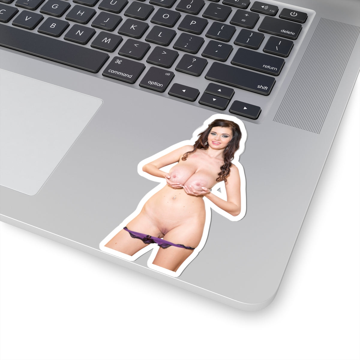 Big Boobs Girl Sticker Adult Stickers