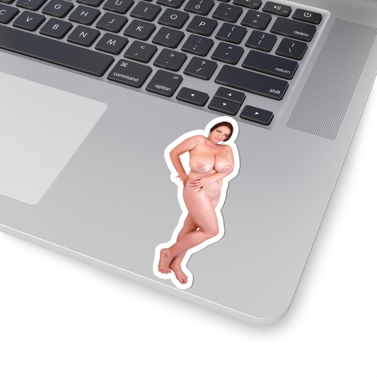 Nudity Stickers Big Breast Sexy Women Sticker