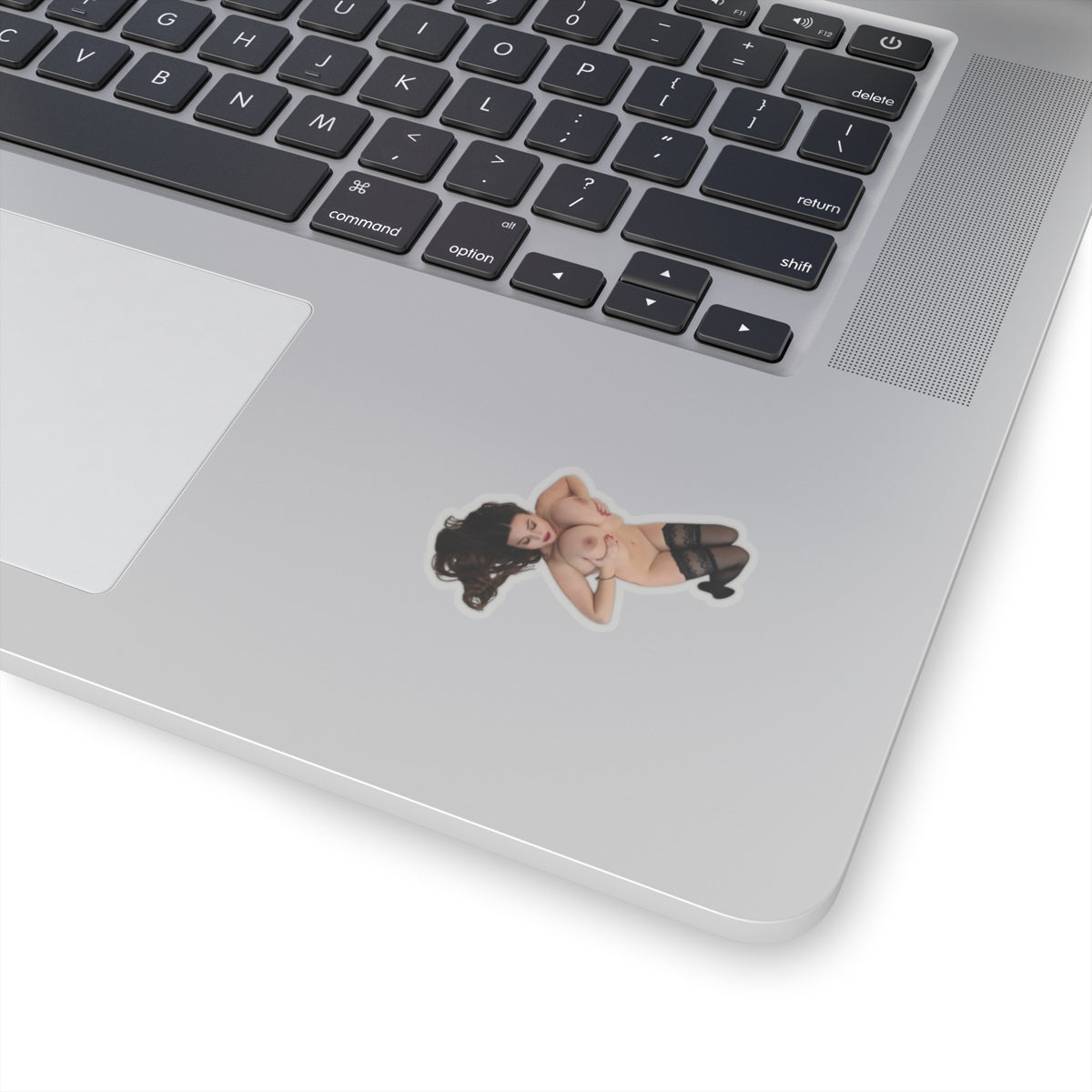 Huge Boobs Big Tits Girl Stickers