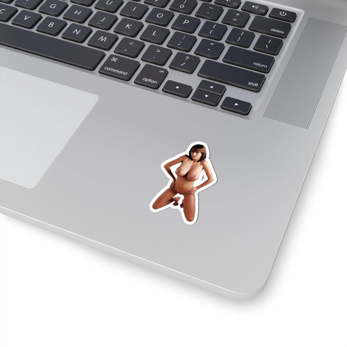 Gabrielle Nude Sexy Model Sticker Adult Stickers