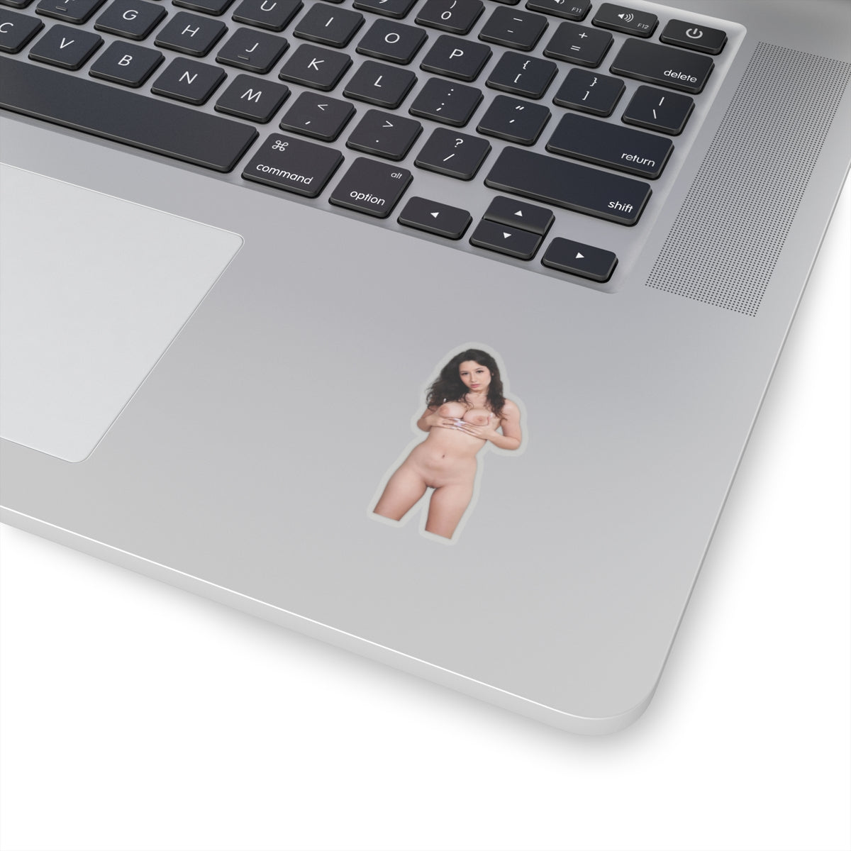 Vintage Sexy Girl Sticker Big Tits Women Decal