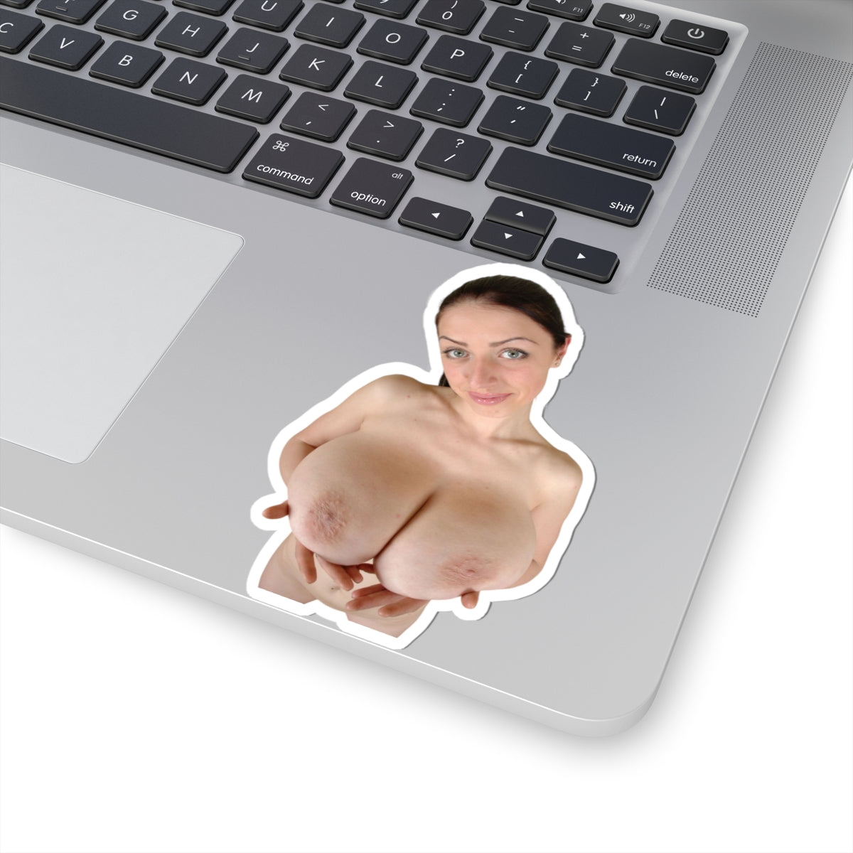 Big Boobs Girl Sticker