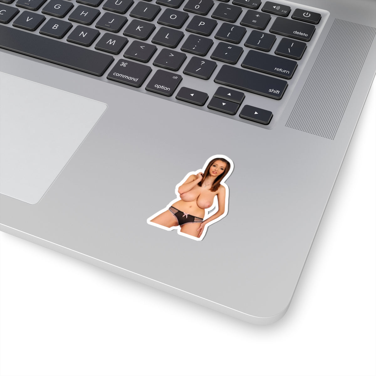Sexy Busty Woman Decal