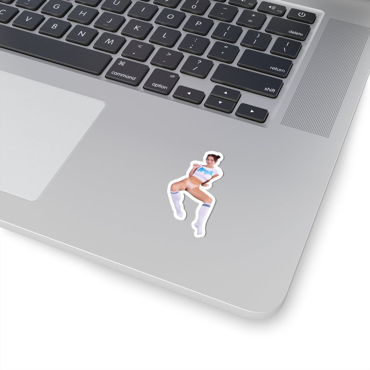Pretty Sexy Girl Sticker Pinup Model