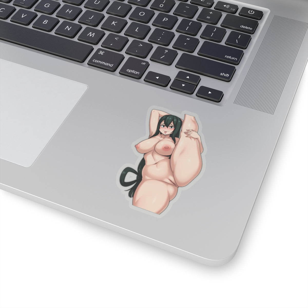 Hentai Sticker Uncensored Anime Girl Stickers