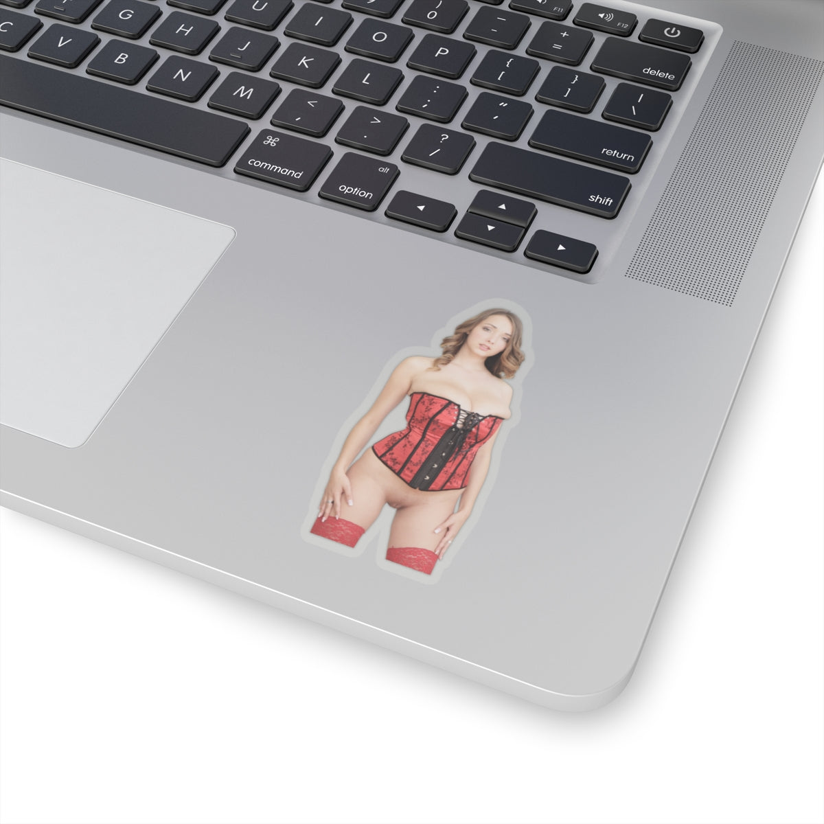 Naked Women Sticker Sexy Girls Adult Stickers