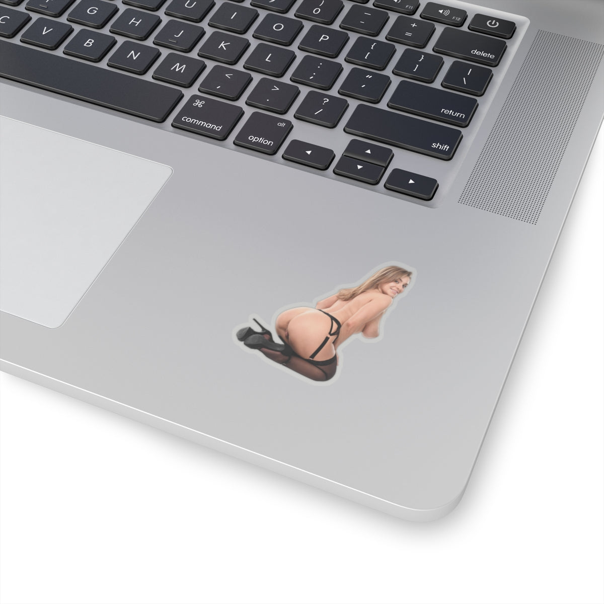 Pretty Girl Sticker Naked Women Stickers Cute Model