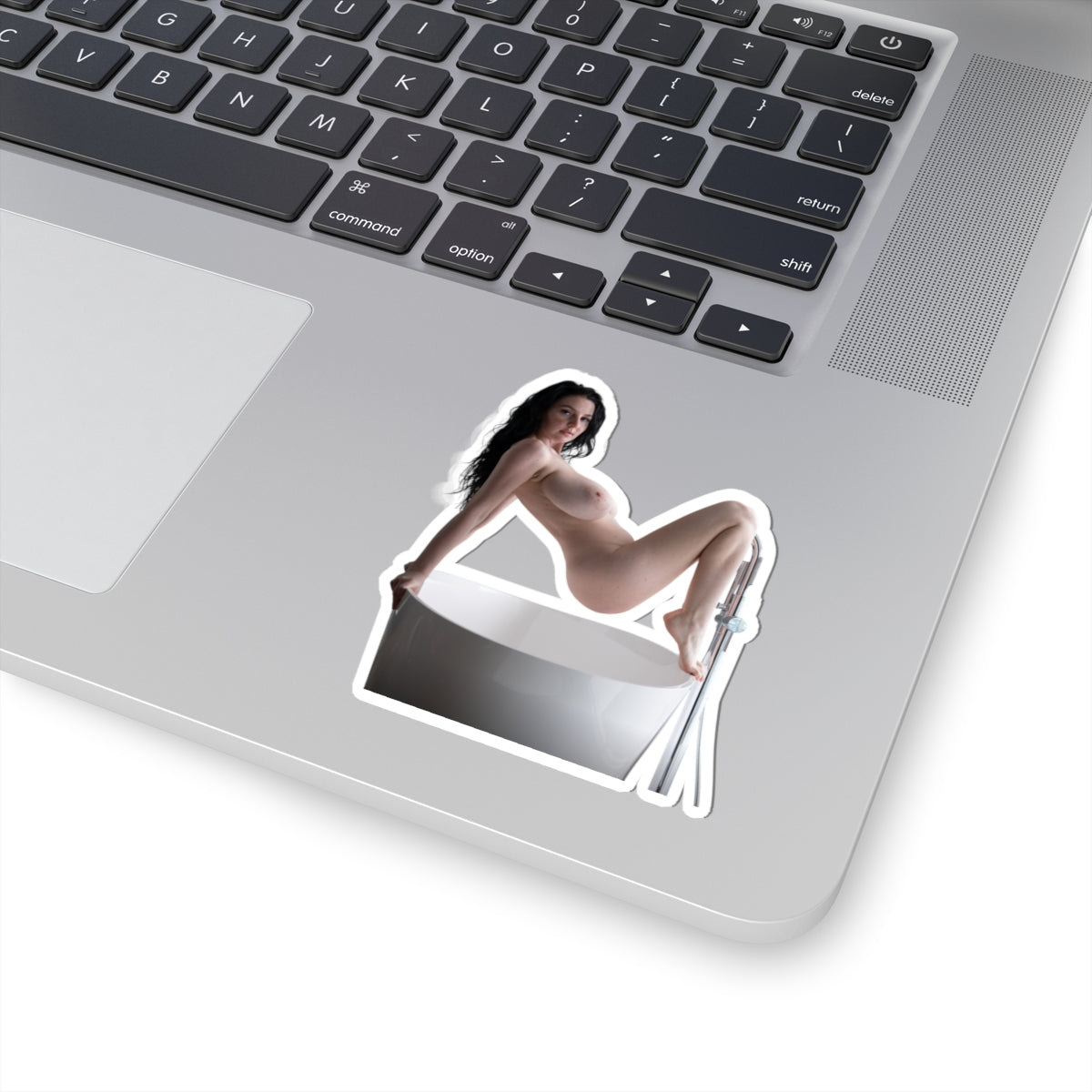 Big Tits Laurine Model Stickers Sexy Girl Sticker